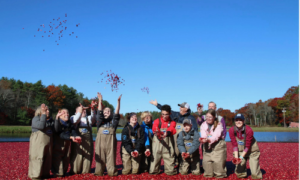 Special needs students in a cranberry field